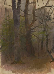 Início da primavera. Floresta
